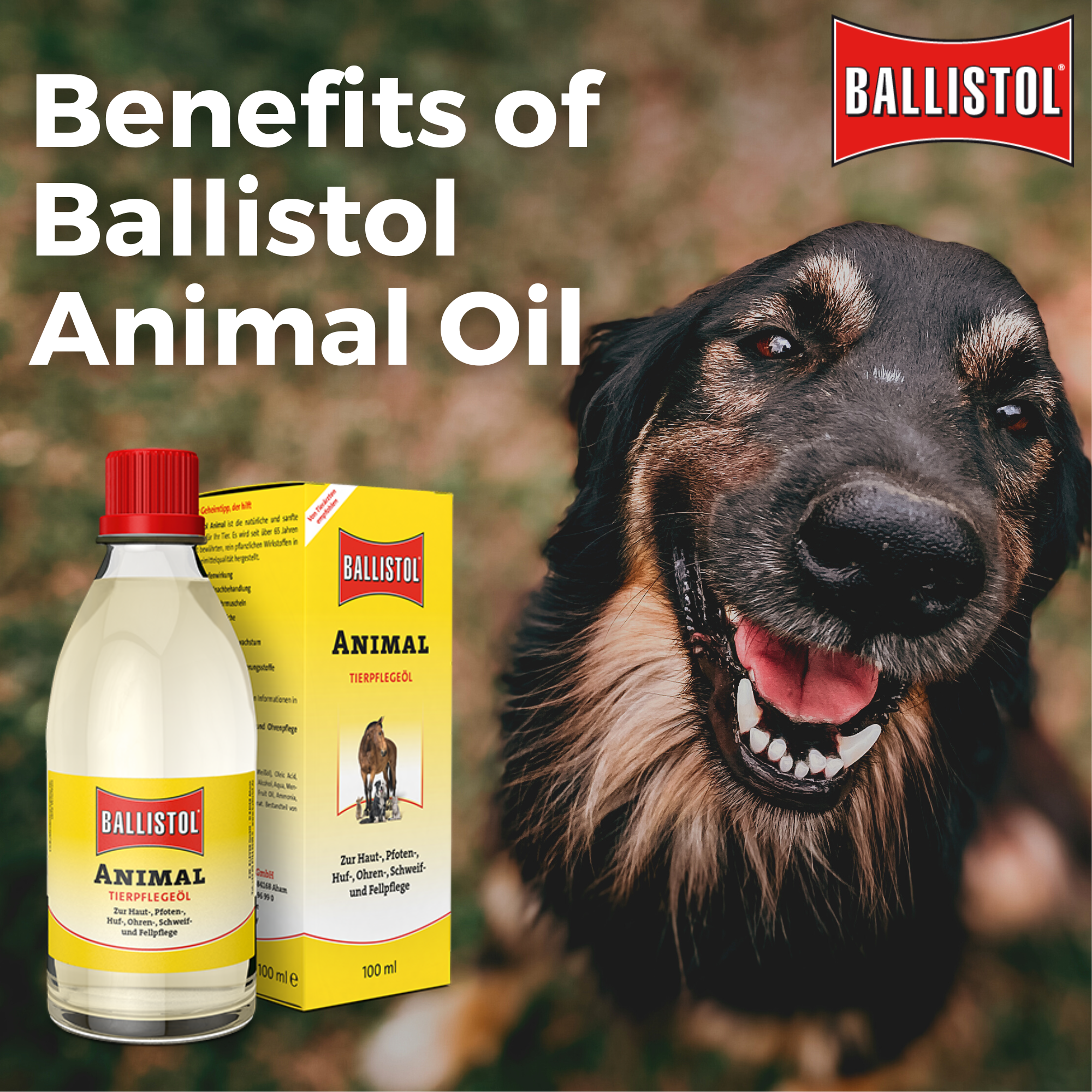 The Benefits of Animal Care Oil - Q&A's